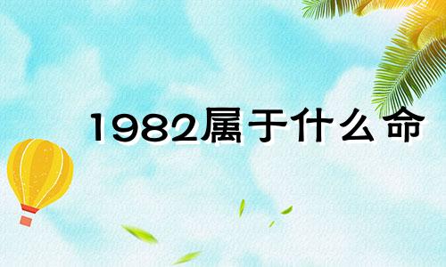 1982属于什么命 1982年是什么命数