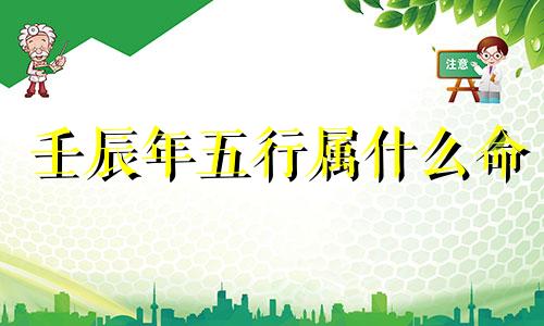 壬辰年五行属什么命 壬辰年五行属什么水