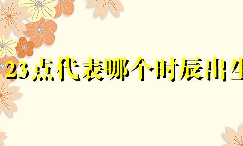 23点代表哪个时辰出生 23点代表几点