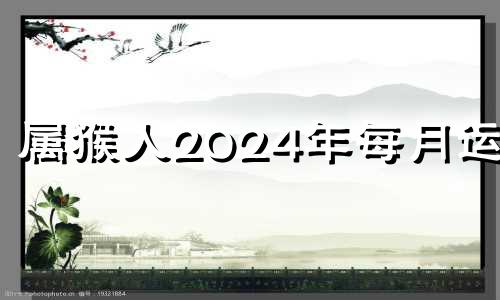 属猴人2024年每月运势 属猴人2024年整体运势