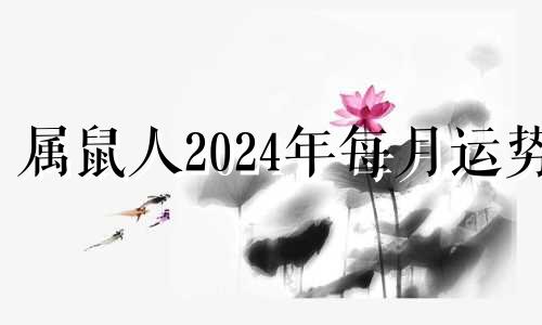 属鼠人2024年每月运势 2024年属鼠的全年运势免费