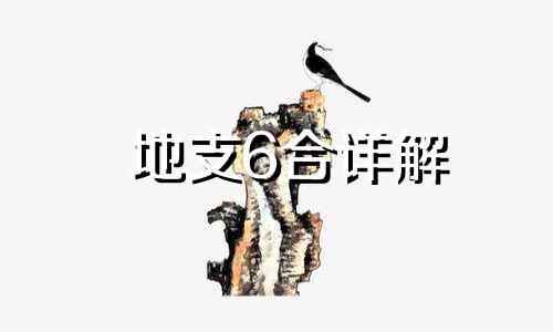 地支6合详解 