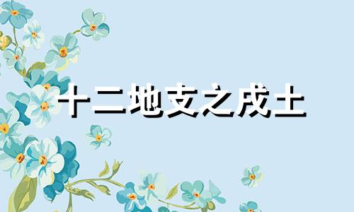 十二地支之戌土 地支戌与十二地支关系