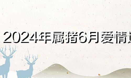 2024年属猪6月爱情运势 属猪在2024