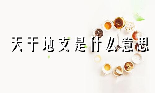 天干地支是什么意思 龙年的天干地支是什么