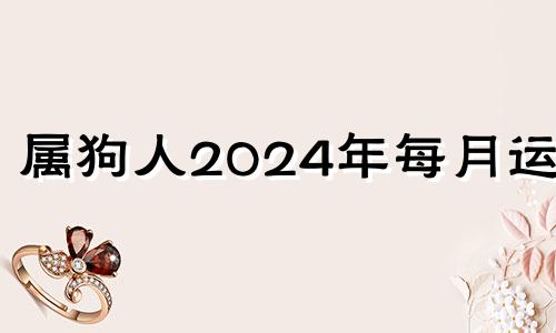 属狗人2024年每月运势 属狗运势2024年运势详解