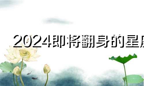 2024即将翻身的星座 属羊处女座2024年运势怎么样