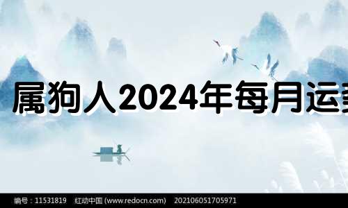 属狗人2024年每月运势 生肖狗在2024年的运势以及注意月份