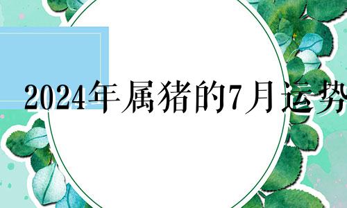 2024年属猪的7月运势 2024年猪人财运