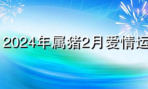 2024年属猪2月爱情运势 2024年猪人财运