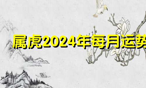 属虎2024年每月运势 2024年属猪11月运势