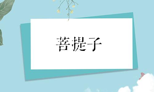 菩提子 什么属相不能挂菩提子是什么意思