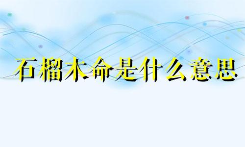 石榴木命是什么意思 沙中土命什么意思