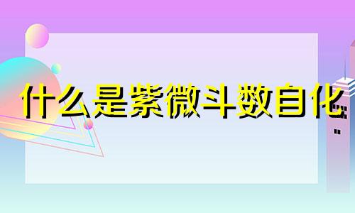 什么是紫微斗数自化 什么是紫微斗数飞星