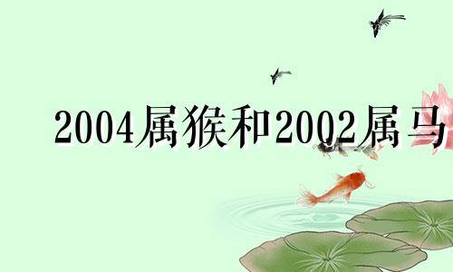 2004属猴和2002属马 2002年属马女和2004年属猴男相配吗