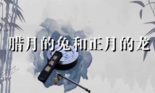 腊月的兔和正月的龙 腊月兔是什么命