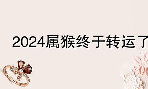 2024属猴终于转运了 1993属鸡转折点在哪一年