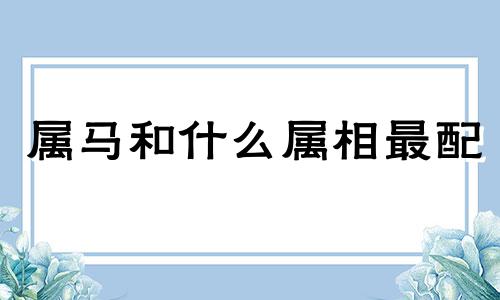 属马和什么属相最配 属兔和什么属相相冲