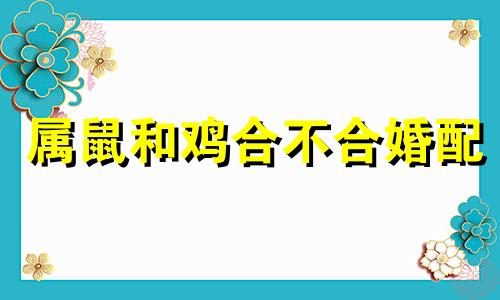 属鼠和鸡合不合婚配 93鸡跟96鼠可以结婚吗