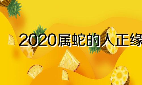 2020属蛇的人正缘 属蛇女在2021年遇到正缘的人