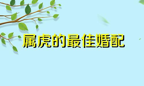 属虎的最佳婚配 谁能压住属虎人