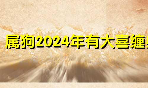 属狗2024年有大喜缠身 属虎2024年有大喜缠身