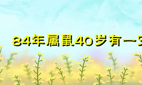 84年属鼠40岁有一灾 2024年属鼠人