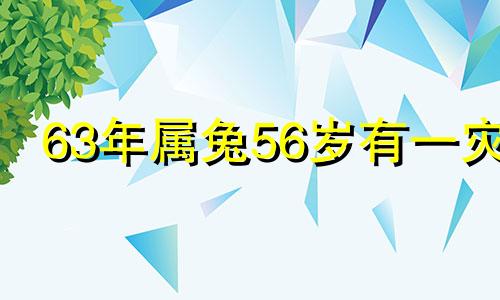 63年属兔56岁有一灾 63年属兔45岁有一灾2021