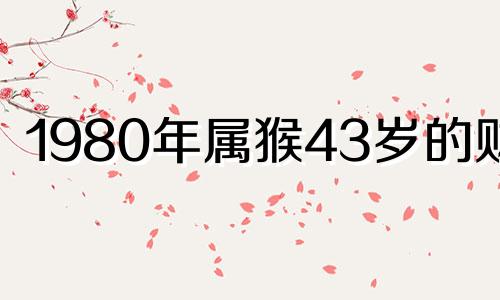 1980年属猴43岁的财运 1980属猴人41岁到49岁运程