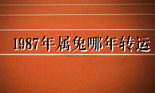 1987年属兔哪年转运 1987属兔人终身的三大坎