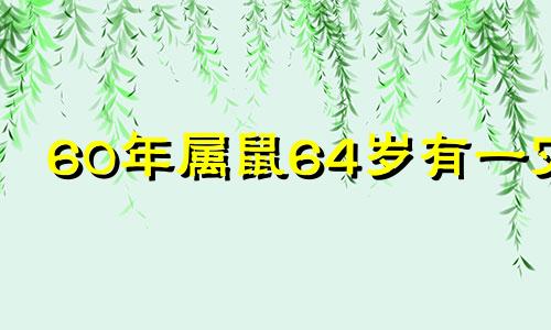 60年属鼠64岁有一灾