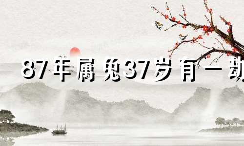 87年属兔37岁有一劫 88年属龙36岁有一灾