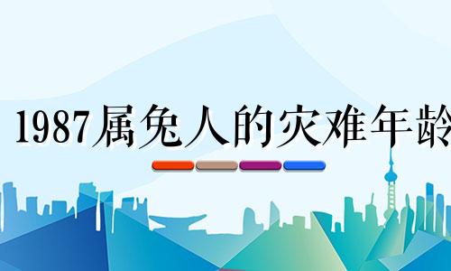 1987属兔人的灾难年龄 87年属兔一生劫难