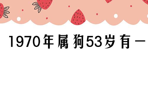 1970年属狗53岁有一灾 1970年属狗人未来十年大运