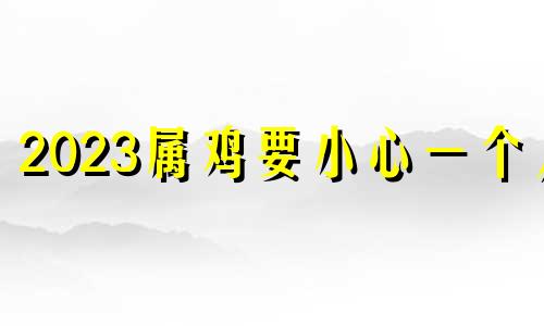 2023属鸡要小心一个人 2024属猪要小心一个人