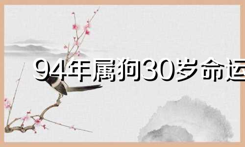 94年属狗30岁命运 94年属狗26岁有一灾