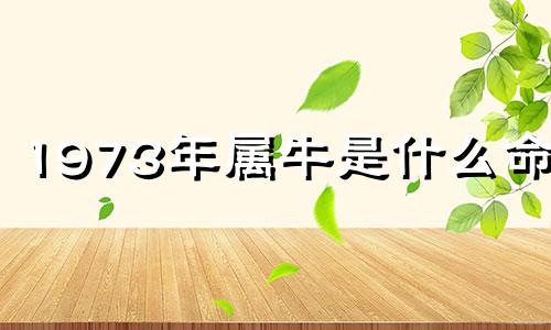 1973年属牛是什么命呢 1973年属牛是什么命五行