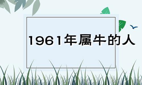 1961年属牛的人 1961年生肖牛在2021年运势如何