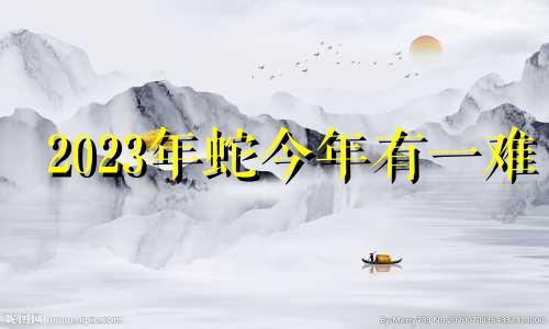 2023年蛇今年有一难 2024年蛇人运势