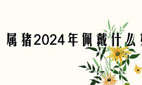 属猪2024年佩戴什么好 属猪2024年佩戴什么最旺运