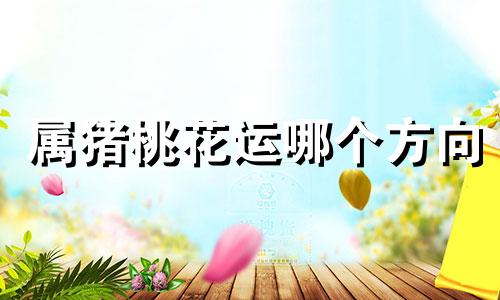 属猪桃花运哪个方向 属猪的有桃花运