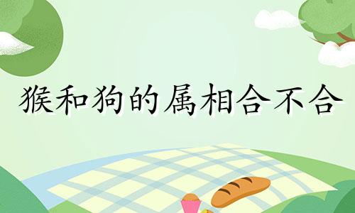 猴和狗的属相合不合