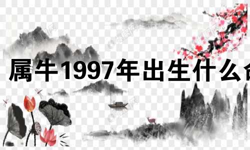 属牛1997年出生什么命 1997年出生什么命五行什么命