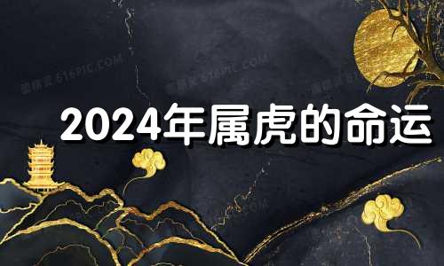 2024年属虎的命运 2024属虎什么命