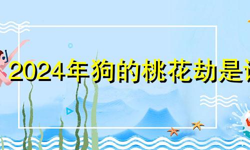 2024年狗的桃花劫是谁 2024年属狗的是一个坎吗