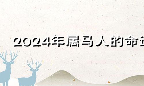 2024年属马人的命运 2024年生肖马