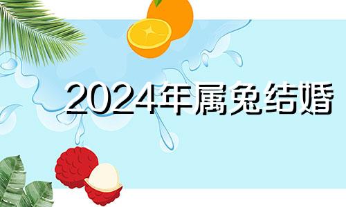 2024年属兔结婚 2024年属兔的命运怎么样