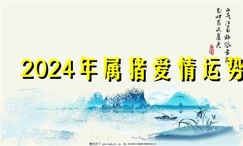 2024年属猪爱情运势 2024年属猪的是什么命