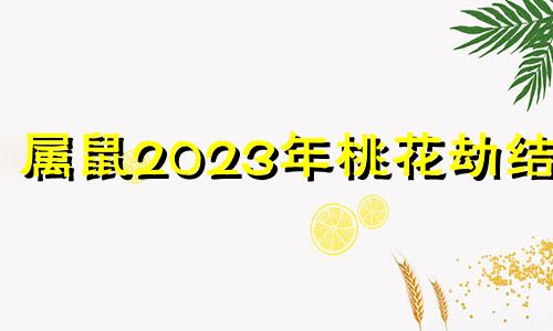 属鼠2023年桃花劫结婚 2024年属鼠运程