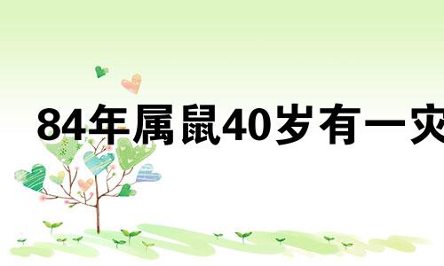 84年属鼠40岁有一灾 2024年鼠的贵人是谁